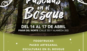 CONVOCATORIA ABIERTA PARA PARTICIPAR DE PASCUAS EN EL BOSQUE